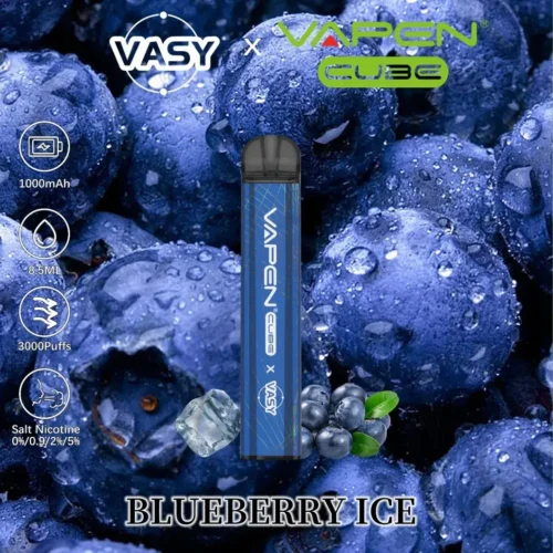 VAPEN Cube 3000 Puffs Disposable Vape